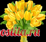 Без заголовка