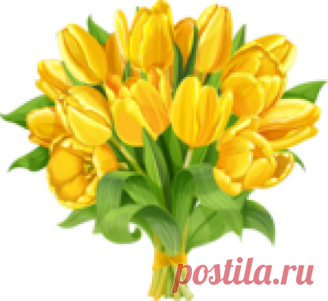 Без заголовка