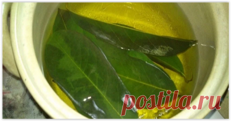 Целебный чай с лавровым листом для нормализации обмена веществ и похудения!