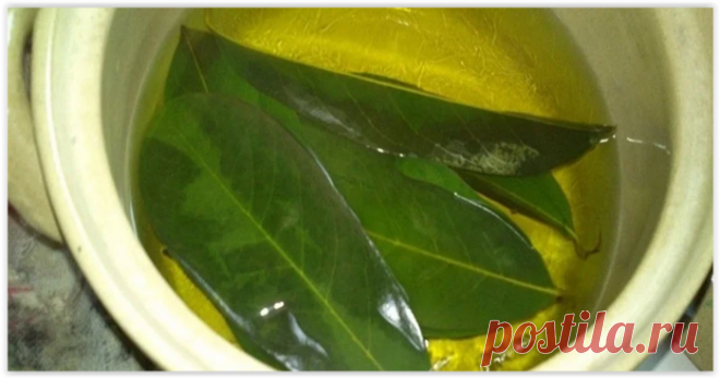 Целебный чай с лавровым листом для нормализации обмена веществ и похудения!