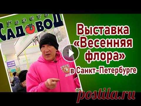 ВЫСТАВКА 