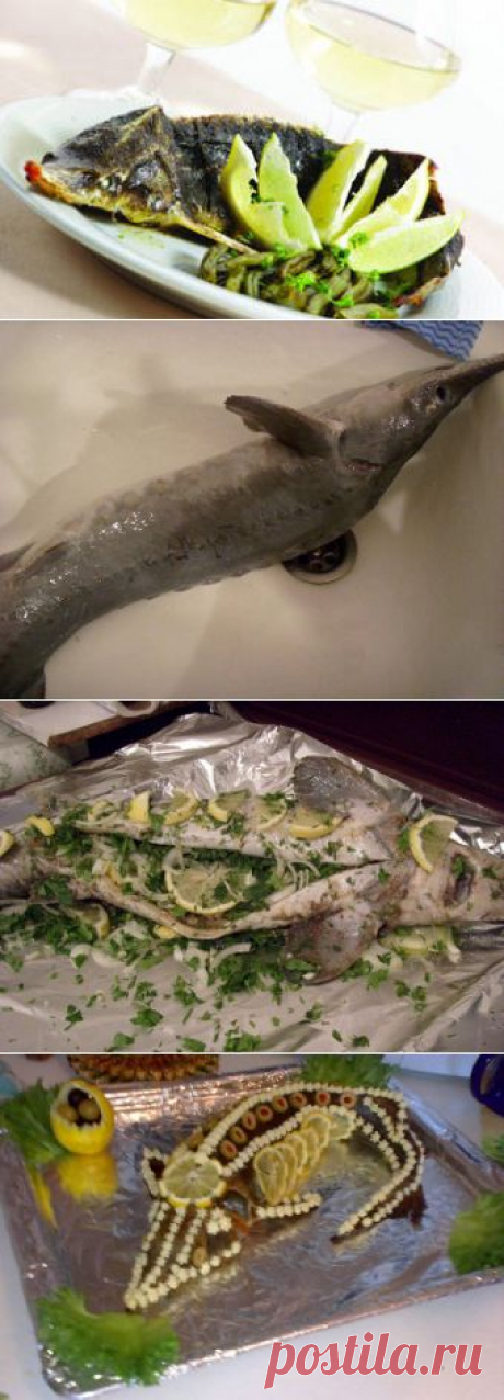Стерлядь, фаршированная овощами и креветками / Блюда из стерляди / TVCook: пошаговые рецепты с фото