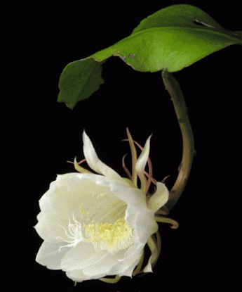 Yalcin Biricik – Google+