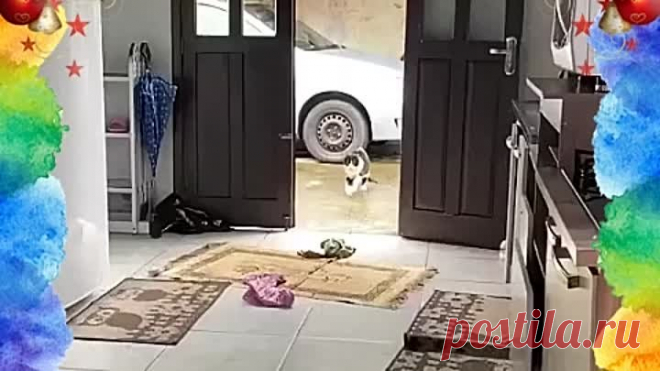 Настоящий симулянт