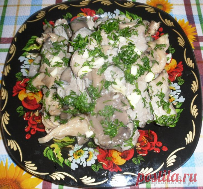 Соление грибов вешенок