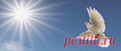 Мир Света » Blog Archive » Как лучше всего нейтрализовать негативные энергии?