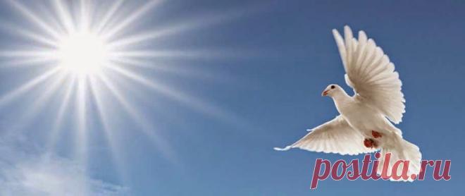 Мир Света » Blog Archive » Как лучше всего нейтрализовать негативные энергии?