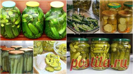 Час закривати огірки! 10 вдалих перевірених рецептів | Сім’я і дім Обов'язково збережіть цей матеріал! У ньому 10 рецептів консервованих огірків на будь-який смак.Тут тільки перевірені рецепти!