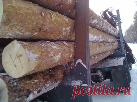 Покупка. продажа леса
пиловочный.
Доска.брус.строительные материалы.
https://vk.com/club72725806
https://special-service.info/listings/4--
https://www.odnoklassniki.ru/group/53180123381877