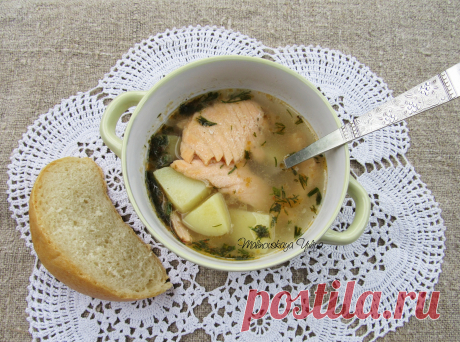 Soupe excellente avec du saumon!
Отличный суп с лососем!
Excellent soup with salmon!