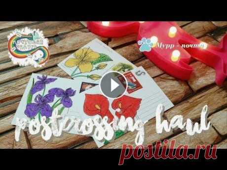 Не показывала эти открытки никому 3 МЕСЯЦА! | POSTCROSSING HAUL Postcrossing Haul - это рубрика на моем канале, когда я заказываю открытки из разных интернет-магазинов, показываю вам их и говорю о плюсах и минусах ...