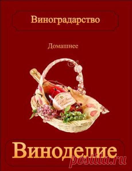 Сорта винограда вино из винограда выращивание винограда
