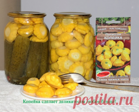 Копейка – достойный конкурент огурцам