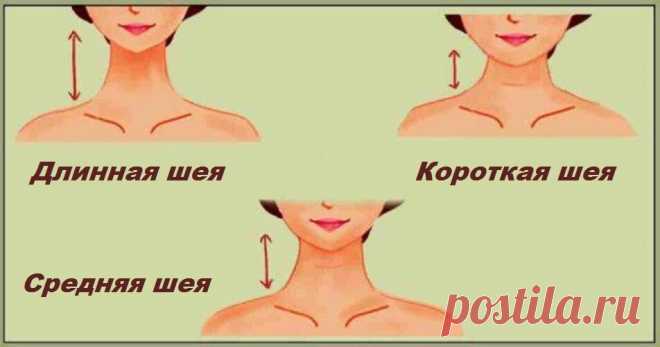 Тест: Длинна вашей шеи, может многое сказать о том, какой вы человек | Скиталец | Яндекс Дзен
