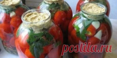 Квашеные помидоры с горчицей отменные Я очень люблю консервированые, квашеные, солёные помидоры. Этот рецепт мне пришёлся по ВКУСУ ( ну очень вкусные, как для меня) и простоте приготовления. Единственный минус — это время выдержи. Не всегда у меня получается выждать весь процесс брожения и созревания. Но, если потерпеть и выждать срок, то вкус будет, как у бочковых помидор, котрые квасила моя бабушка в дубовой бочке…