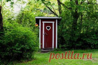 За дачный туалет могут оштрафовать! | юридические тонкости | Яндекс Дзен