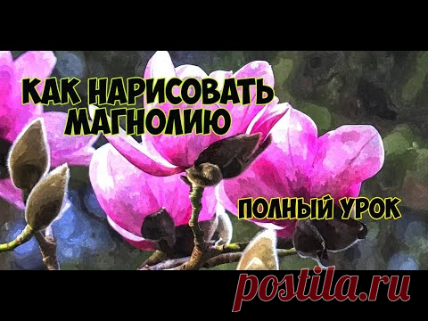 Как нарисовать магнолию карандашом и акрилом. Урок рисования. Порисуем вместе