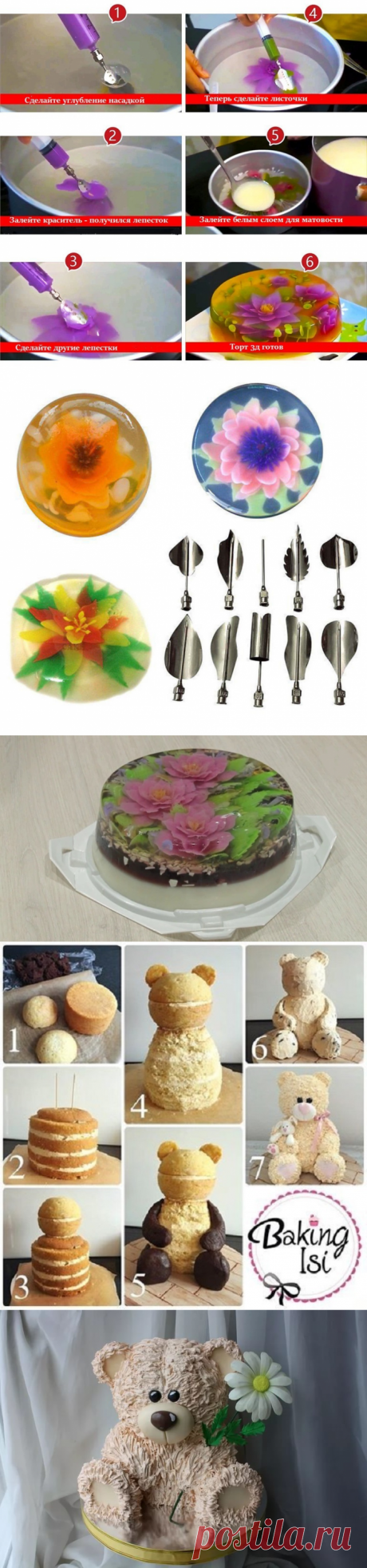 Вкусный и красивый 3Д торт своими руками — желейный, кремовый, детский, из мастики, в форме фигуры мишки Тедди, собаки, мамонтенка, львенка, машины с цветами: лучшие пошаговые рецепты, фото, видео, схемы изготовления, мастер-классы по оформлению