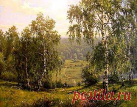 Березка- символ России. | ДОСТОЙНАЯ ЖИЗНЬ НА ПЕНСИИ