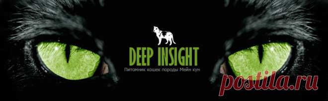 Натуральное кормление от кошек Поттенджера | Deepinsight