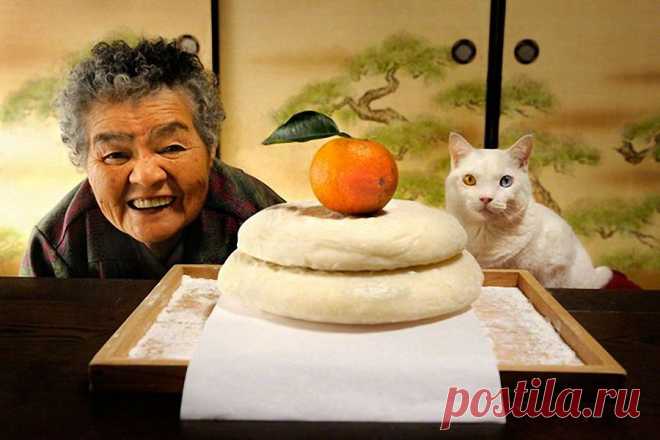Бабушка и кот с разными глазами.