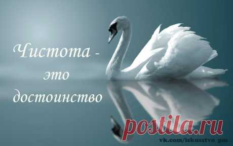 Чистота - это свет, чистота - это сила, чистота это то, что Вас с Богом сроднило!