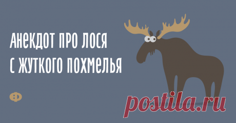 Анекдот про лося с жуткого похмелья Идёт по лесу лось с ужасного похмелья. Голова жутко болит, во рту всё пересохло. Еле дошёл до озера и просто засовывает туда голову, начинает жадно