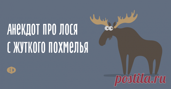 Анекдот про лося с жуткого похмелья Идёт по лесу лось с ужасного похмелья. Голова жутко болит, во рту всё пересохло. Еле дошёл до озера и просто засовывает туда голову, начинает жадно