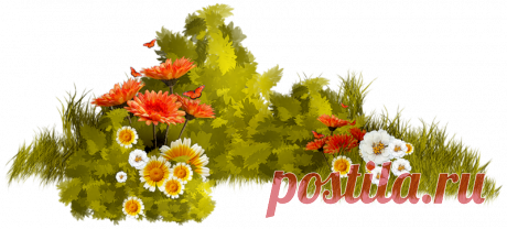 разные красивые детали на прозрачном фоне: 19 тыс изображений найдено в Яндекс.Картинках