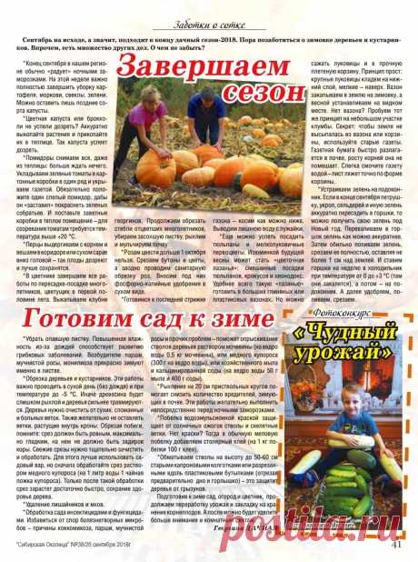 Завершаем сезон. Готовим сад к зиме