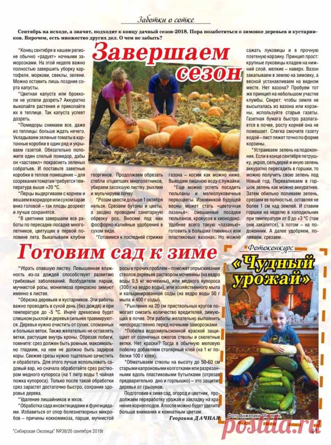 Завершаем сезон. Готовим сад к зиме