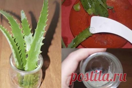 Одна очень приятная, энергичная старушка поведала: