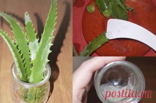 Одна очень приятная, энергичная старушка поведала: