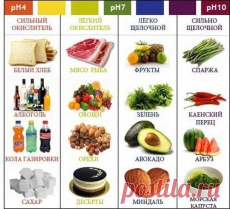 Здоровье в наших руках: Какие продукты называются кислыми, а какие щелочными, их влияние на здоровье человека
