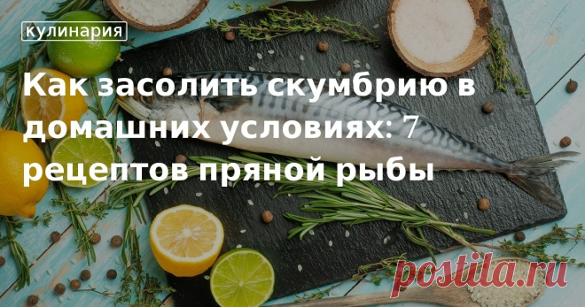 Как засолить скумбрию в домашних условиях: 7 рецептов пряной рыбы. Кулинарные статьи и лайфхаки Как засолить скумбрию в домашних условиях: 7 рецептов пряной рыбы. Рецепты, лайфхаки, обзоры и интересные истории из жизни. Все о доме, семье, уюте, готовке, а также рецепты с фото на сайте Едим Дома