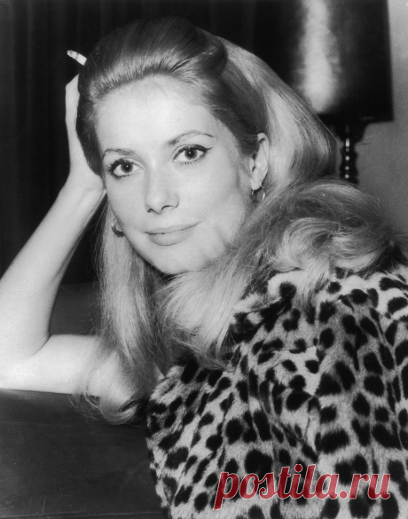 catherine-deneuve-leopard-coat-1960s-1513885787.jpg (2955×3761)