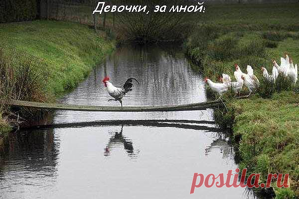 На сон грядущий)))) / Болталка / Юмор