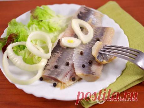 Слабосоленая селедка: рецепт посола в домашних условиях - tochka.net