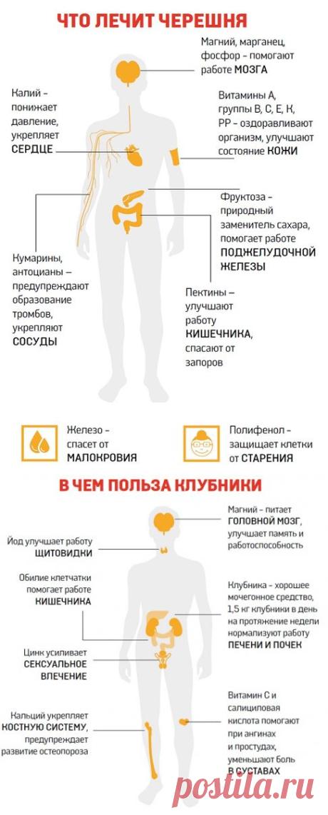 Клубника и черешня: польза для здоровья, правила выбора и хранения.