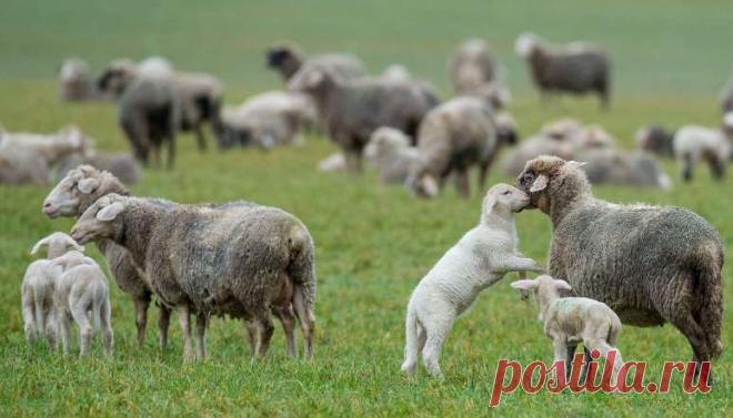 Неделя в фотографиях