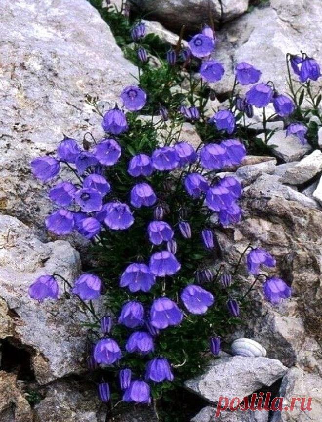 Я понял, что доверие завоевывают годами, а потерять его можно за считанные секунды. Я понял, что даже одно слово, написанное или сказанное, способно причинить невыносимую боль. Я понял, что и несказанные слова тоже причиняют боль и меняют многое.

Я понял, что обязан контролировать свои эмоции, иначе они будут контролировать меня. Я понял, что если человек теряет уважение, он теряет все. Я понял, что почти все, что осталось в прошлом, невозможно вернуть.