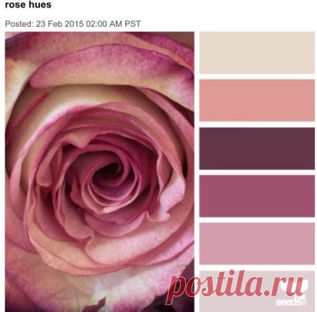 (10) Pinterest
