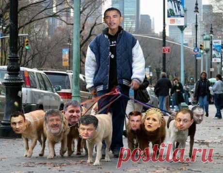 Свора и её хозяин...