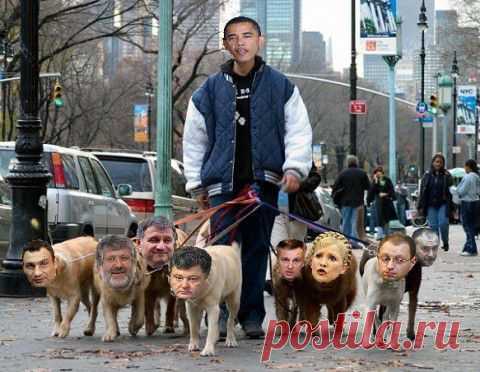 Свора и её хозяин...