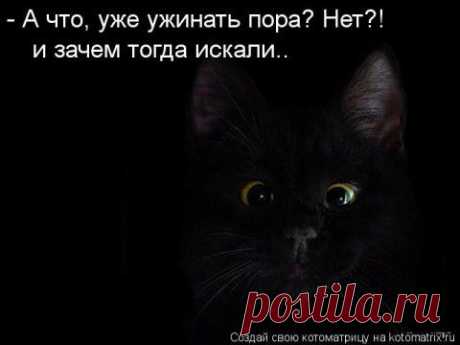 Котоматрица ноябрьская! | 5минутка