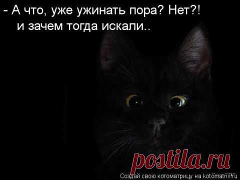 Котоматрица ноябрьская! | 5минутка
