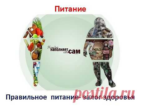 Делая вывод, можно сказать: Мы то, что едим. Ваше здоровье напрямую зависит от вашего питания. Каждый наполняет себя сам, согласно своему мировоззрению. Обретёте оптимальное здоровье, и увидите сколько в вас энергии. Используя которую, для реализации ваших идей.