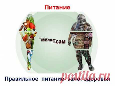 Делая вывод, можно сказать: Мы то, что едим. Ваше здоровье напрямую зависит от вашего питания. Каждый наполняет себя сам, согласно своему мировоззрению. Обретёте оптимальное здоровье, и увидите сколько в вас энергии. Используя которую, для реализации ваших идей.