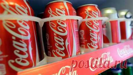 Банка Coca-Cola может с легкостью очистить унитаз - Правда.Ру