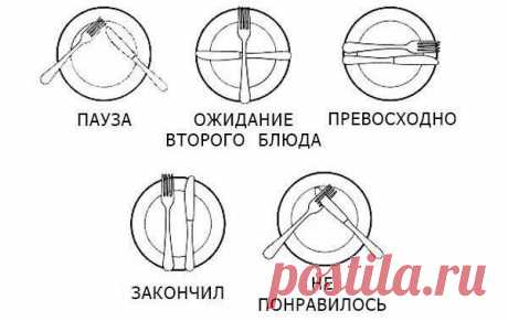 20 золотых правил этикета за столом